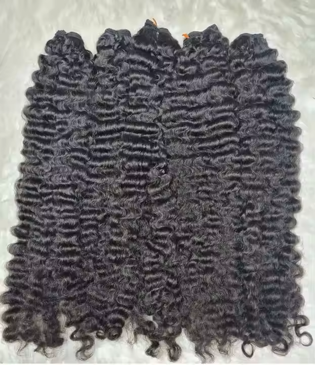 Burmese Curly